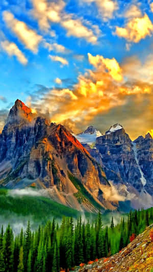 A View Of The Stunning Beauty Nature Has To Offer Wallpaper