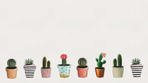 A Watercolor Illustration Of Cactus Plants In Pots Wallpaper