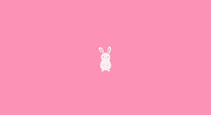 A White Rabbit On A Pink Background Wallpaper