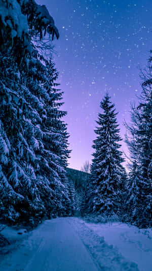 A Winter Snowfall Paints A Peaceful Winter Scene Wallpaper