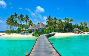 A Wooden Walkway Leading To An Island With Palm Trees Wallpaper