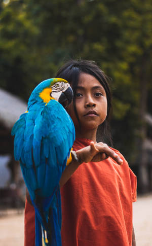 A Young Boy Interacting With A Vibrant Blue Parrot Wallpaper