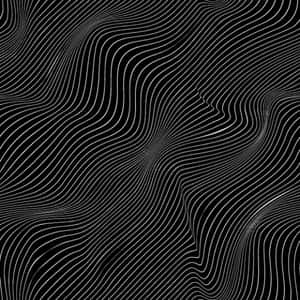 Abstract Black White Contour Lines Wallpaper