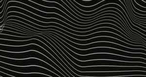 Abstract Blackand White Wave Lines Wallpaper