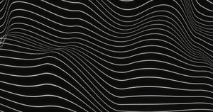Abstract Blackand White Wave Lines Wallpaper
