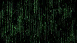 Abstract Digital Binary Data Wallpaper