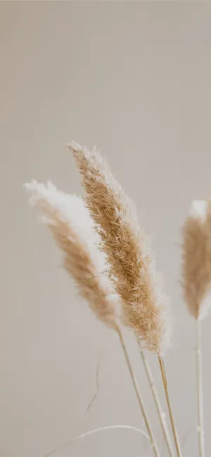 Abstract Light And Dark Pattern Wallpaper