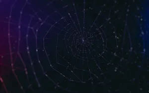 Abstract Spider Web Network Background Wallpaper
