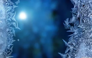 Abstract White Feathers Microsoft Wallpaper