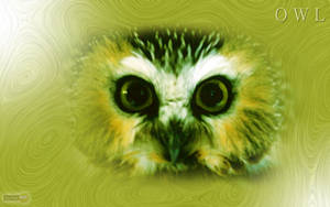 Abstract Yellow Owl Face Wallpaper