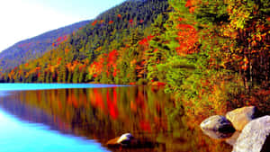 Acadia National Park High Resolution Fall Wallpaper