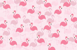 Add Some Luxury To Your Look With This Gorgeous Fancy Number Wallpaper