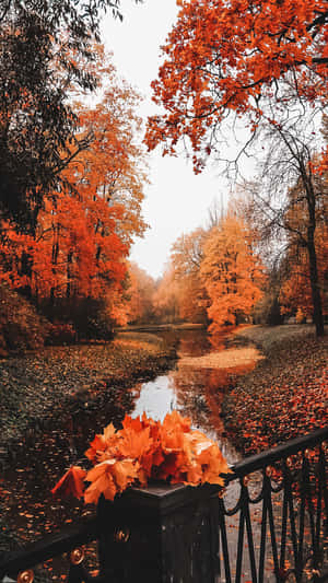 Adding A Touch Of Autumn To Your Phone Wallpaper