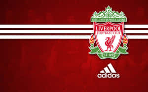 Adidas Liverpool Fc Desktop Wallpaper