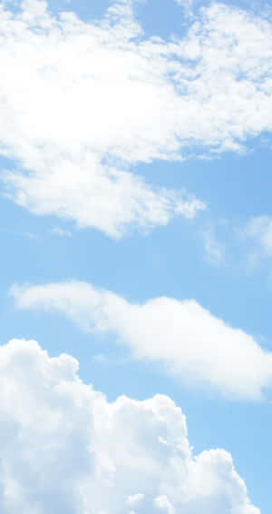 Admiring The Beautiful Blue Sky Wallpaper