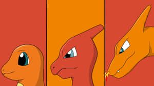 “adorable Charmander” Wallpaper