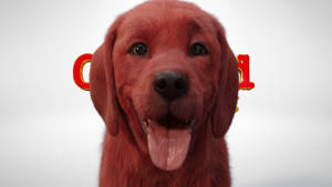 Adorable Clifford The Big Red Dog Wallpaper