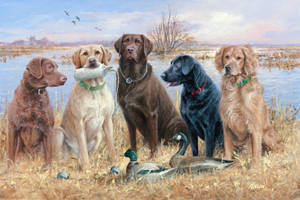 Adorable Hunting Dogs Wallpaper