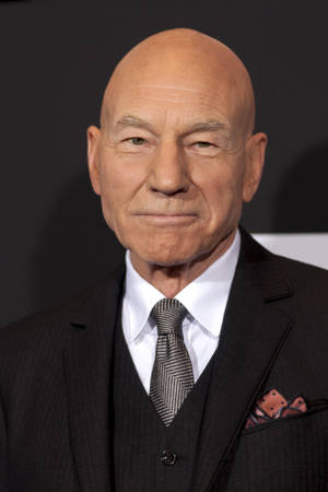 Adorable Patrick Stewart Wallpaper