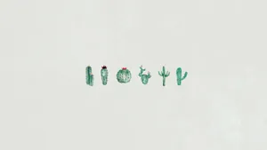 Adorable White Wallpaper