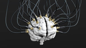 Advanced 3d Cerebral Illustration Wallpaper