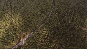 Aerial View Of Forest In Lithuania Wallpaper
