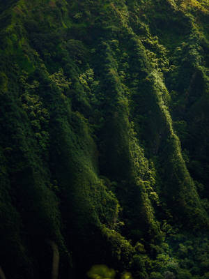 Aerial View Of Stunning Green Hills As Viewed From An Iphone. Wallpaper
