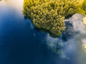 Aerial View Of Trees Near Water In Lithuania Wallpaper