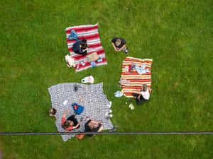 Aerial_ View_ Picnic_ Gathering.jpg Wallpaper