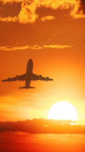 Aeroplane Bright Orange Sky Sunset Wallpaper