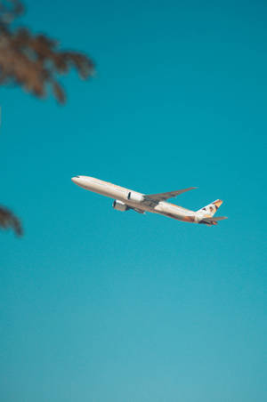 Aeroplane Clear Blue Sky Wallpaper