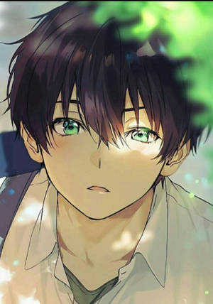 Aesthetic Anime Boy Icon Green Eyes Wallpaper