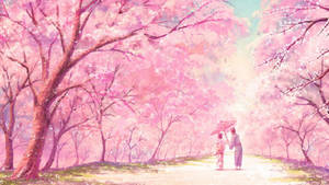 Aesthetic Anime Scenery With Cherry Blossoms Wallpaper