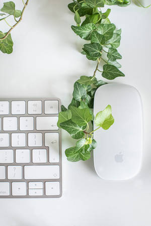 Aesthetic Apple Mouse And Keyboard Wallpaper