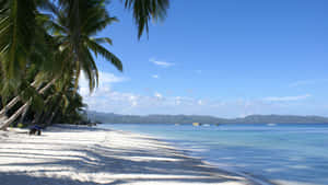 Aesthetic Beach Laptop White Sand Wallpaper