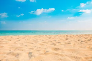 Aesthetic Beach Sand Mounds Wallpaper