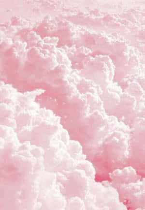 Aesthetic Beauty Of Pink And White Wallpaper