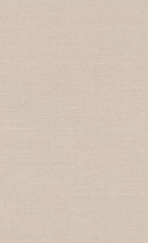 Aesthetic Beige Wall Paint Wallpaper