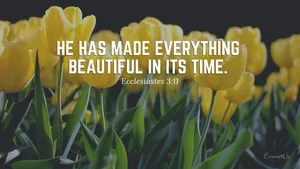 Aesthetic Bible Verse Ecclesiastes 3:11 Wallpaper