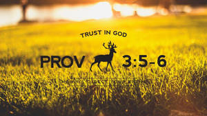 Aesthetic Bible Verse Proverbs 3:5 Wallpaper