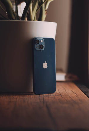 Aesthetic Blue Iphone With Plant Wallpaper