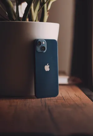 Aesthetic Blue Iphone With Plant Wallpaper