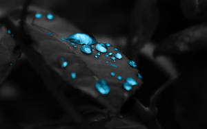 Aesthetic Blue Raindrops On Black Surface Wallpaper