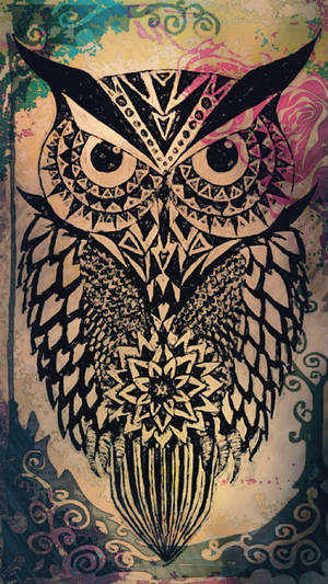 Aesthetic Boho Owl Wallpaper