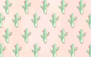 Aesthetic Cactus Seamless Wallpaper