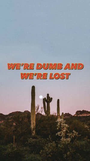 Aesthetic Cactus We're Dumb And We're Lost Wallpaper