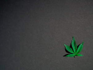 Aesthetic Cannabis Leaf Against Vibrant Background Wallpaper