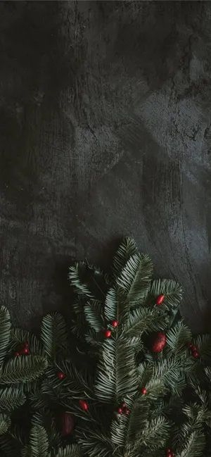 Aesthetic Christmas Iphone Features Wallpaper