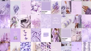 Aesthetic Collage For A Lively Desktop Wallpaper