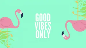 Aesthetic Computer 4k Green Background Pink Flamingos Wallpaper